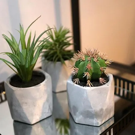 Bed & Breakfast Prestige Design 3*