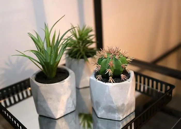 Bed & Breakfast Prestige Design 3*